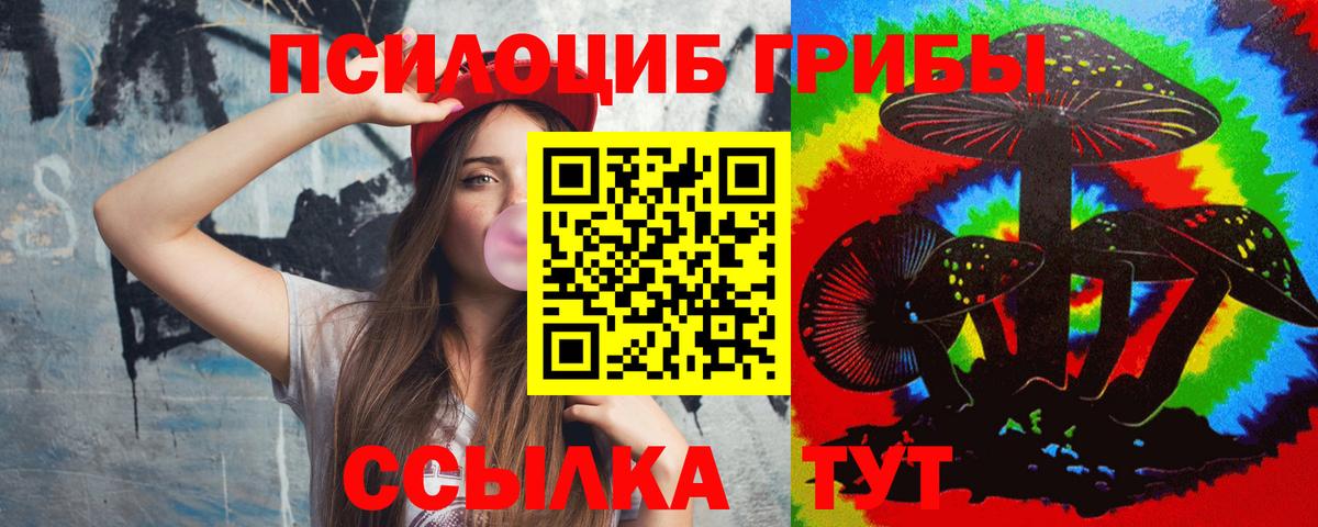 Галлюциногенные грибы Psilocybine cubensis Корсаков