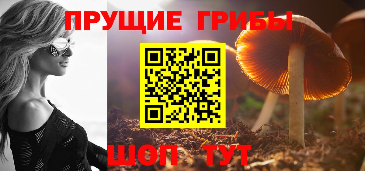 Корсаков  Галлюциногенные грибы мицелий  Вход с VPN 
