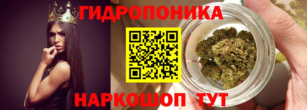 Бошки марихуана Ganja Корсаков